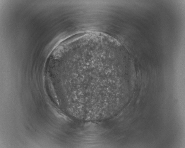 X0000082180290200702021759