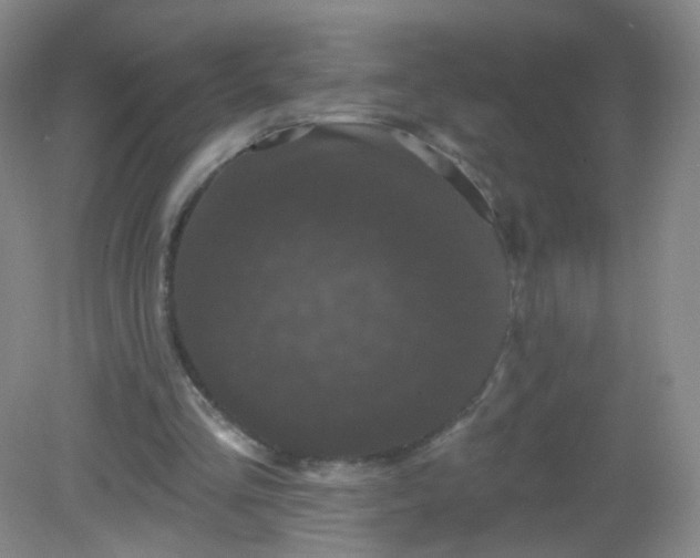 X0000082180293200702021759