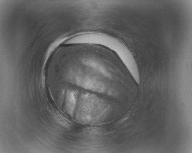 X0000082180294200702021759