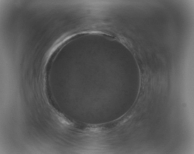 X0000082180295200702021759