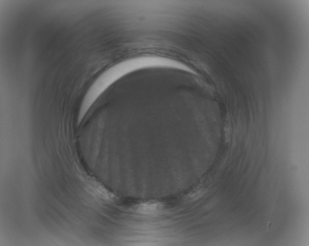 X0000082180314200702021759