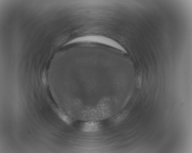 X0000082180335200702021759