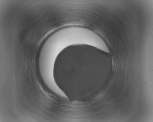 X0000082180348200702021758