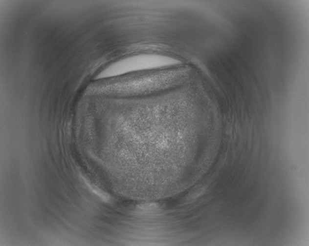 X0000082180357200702021758