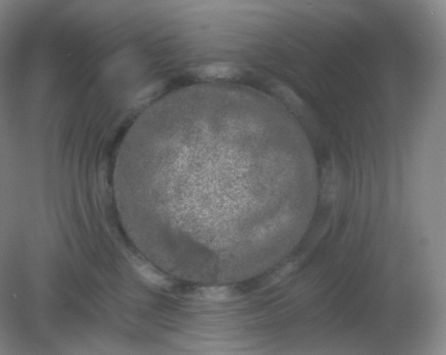 X0000082180377200702021759