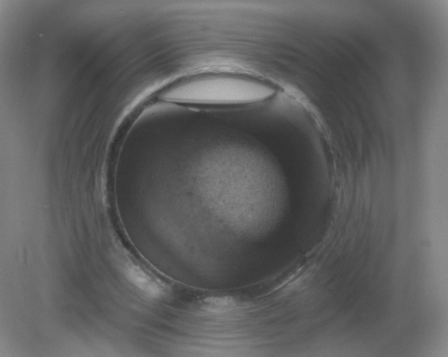 X0000082180391200702021758