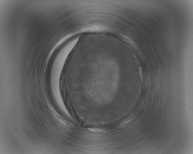 X0000082180392200702021758