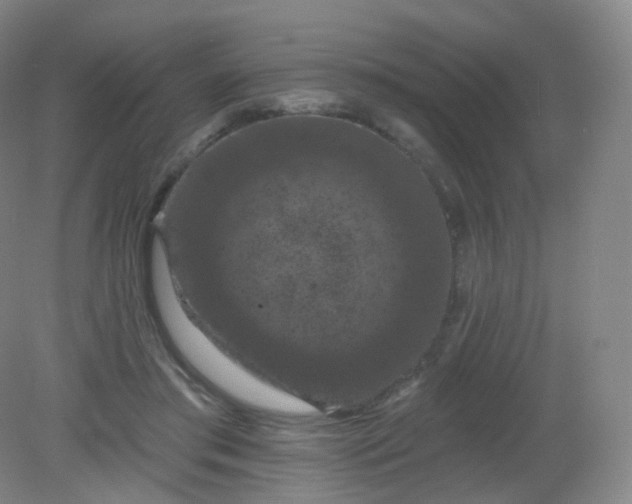 X0000082180405200702021757