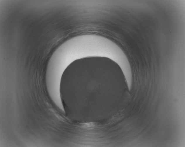 X0000082180411200702021757
