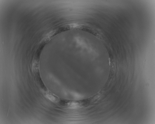 X0000082180419200702021757