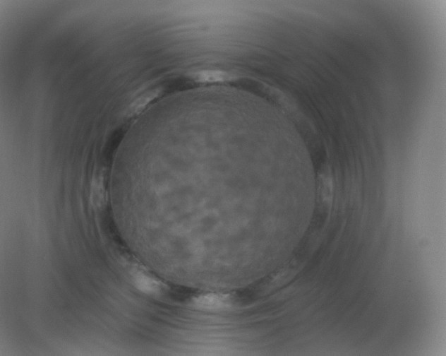 X0000082180422200702021757