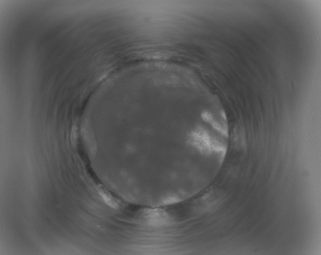 X0000082180424200702021757