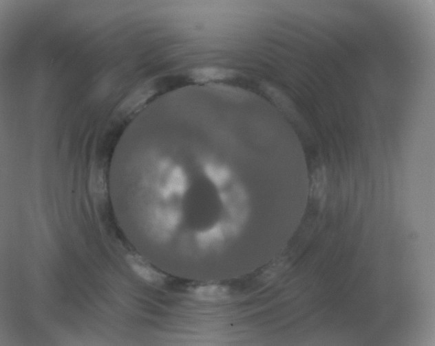 X0000082180426200702021757