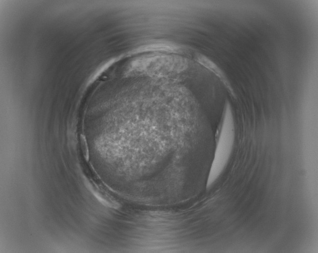 X0000082180436200702021756