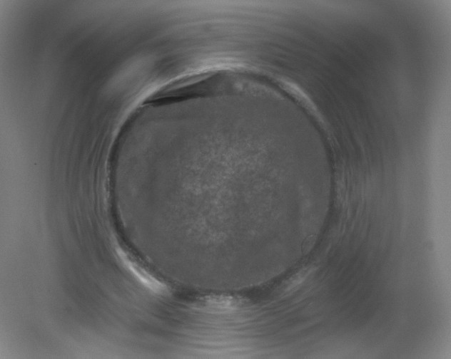 X0000082180439200702021756