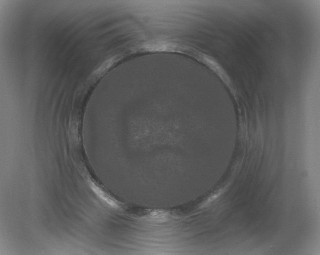 X0000082180441200702021756