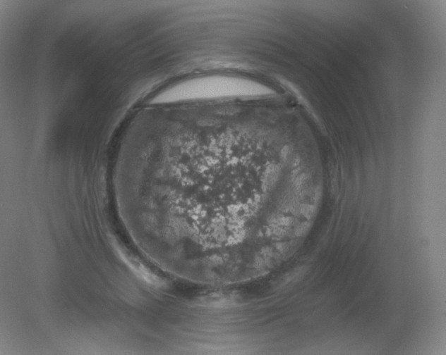 X0000082180447200702021756