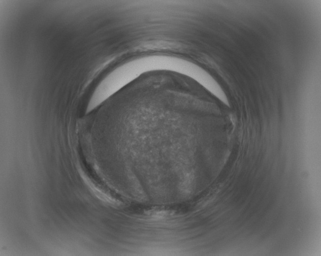 X0000082180448200702021756