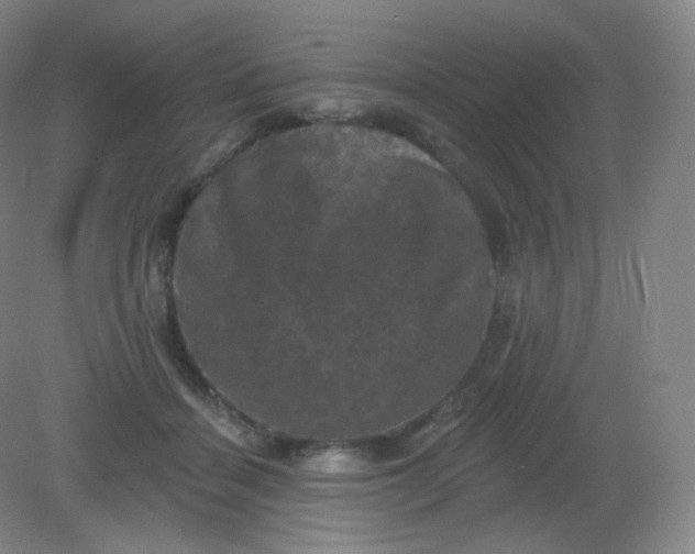 X0000082180460200702021757