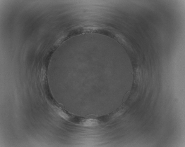 X0000082180463200702021757