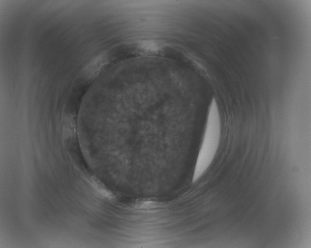X0000082180467200702021757