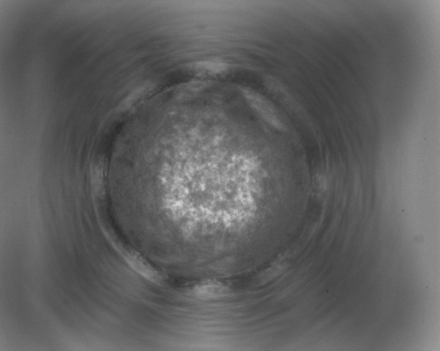 X0000082180468200702021757