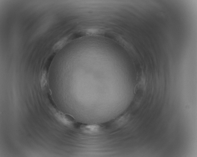 X0000082180478200702021757