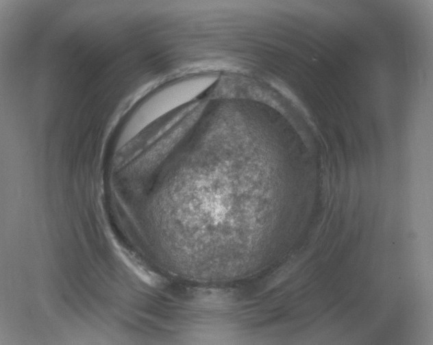 X0000082180486200702021756