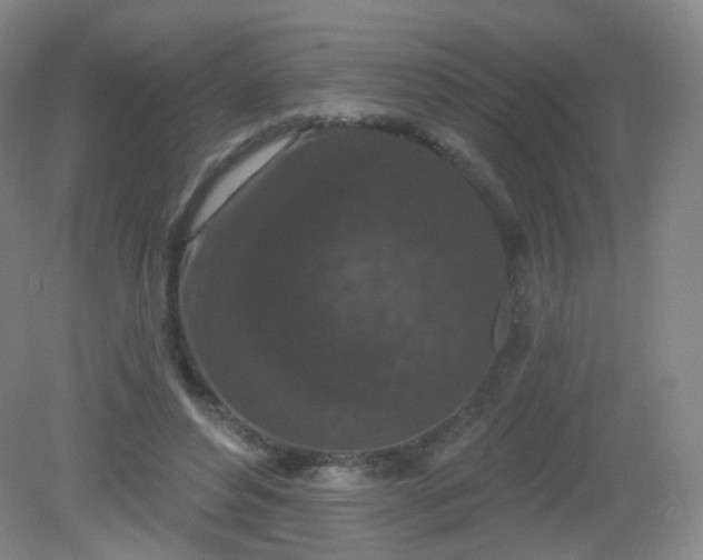 X0000082180496200702021756