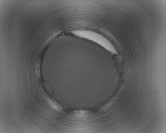 X0000082180497200702021756