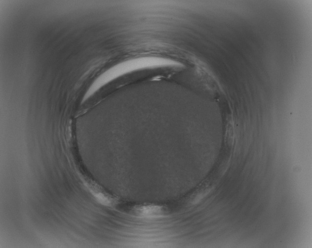 X0000082180501200702021756