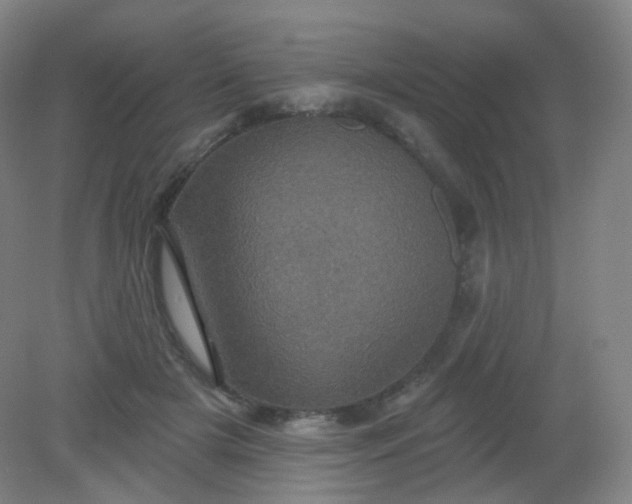 X0000082180505200702021756