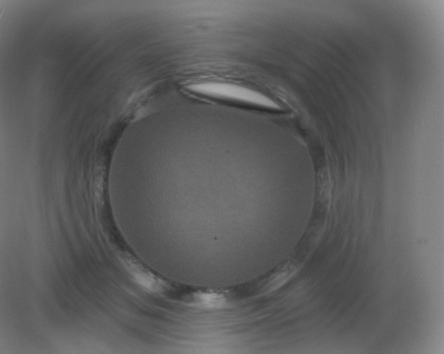 X0000082180509200702021756