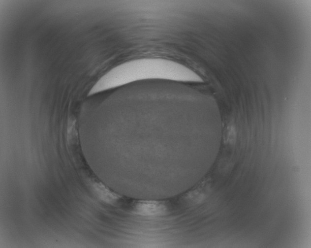 X0000082180521200702021756