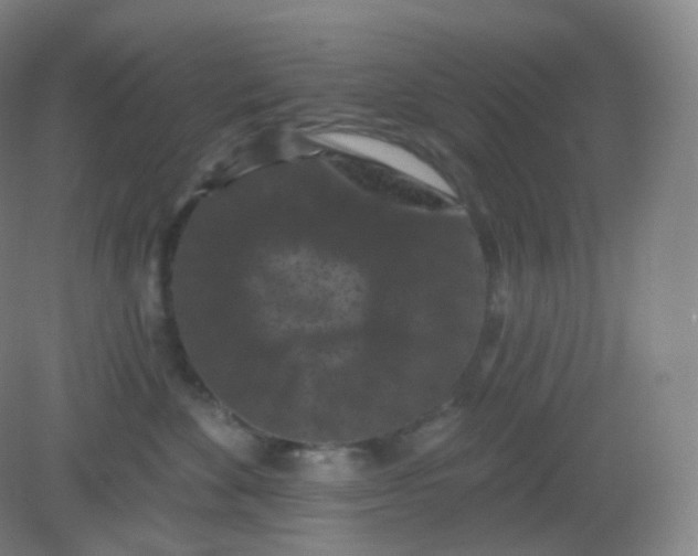 X0000082180524200702021755