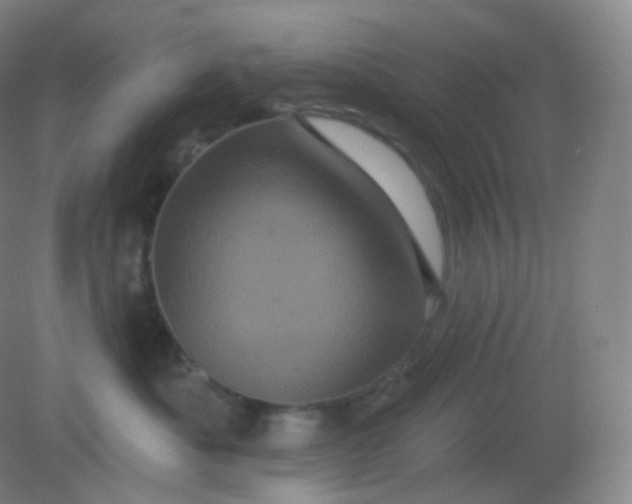 X0000082180525200702021755