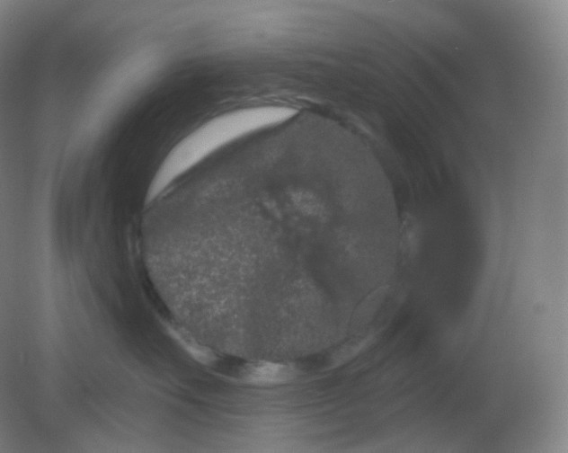 X0000082180527200702021755