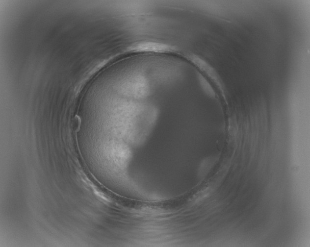 X0000082180529200702021755