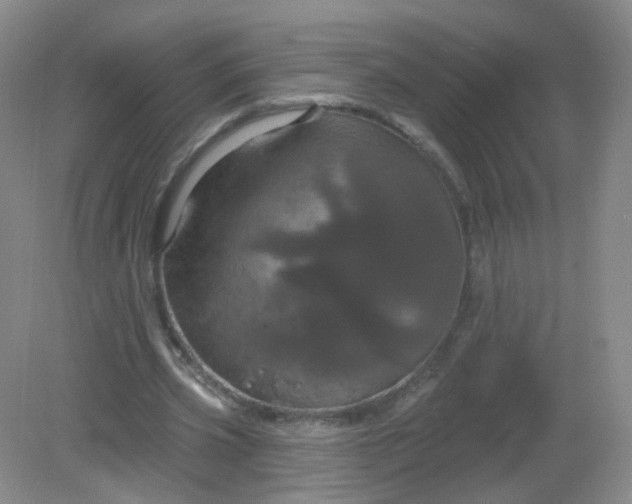 X0000082180533200702021755