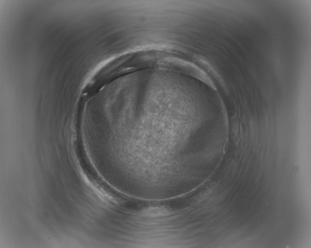 X0000082180536200702021755