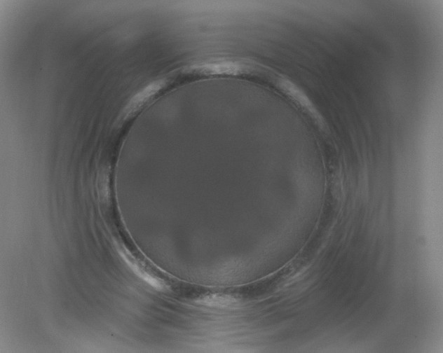 X0000082180537200702021755