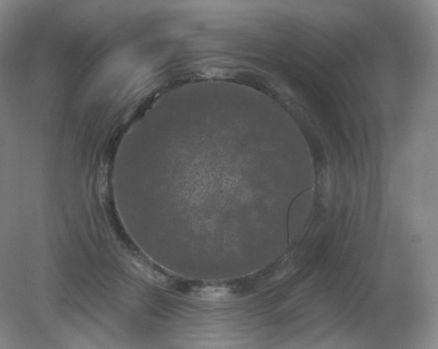 X0000082180554200702021755