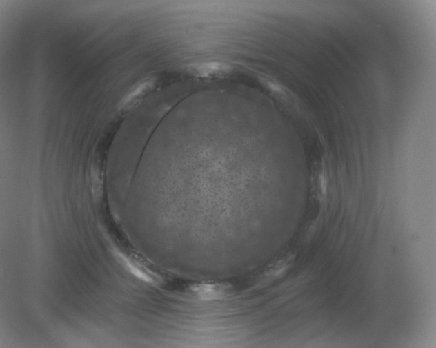 X0000082180558200702021755