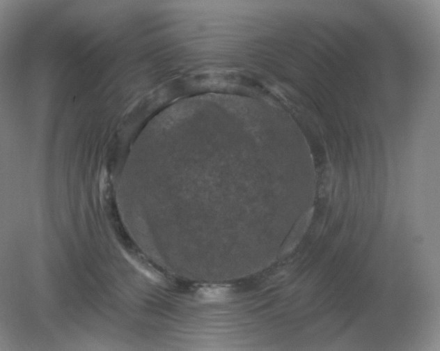 X0000082180560200702021755