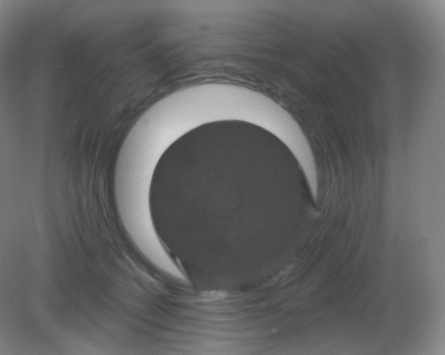 X0000082180562200702021755