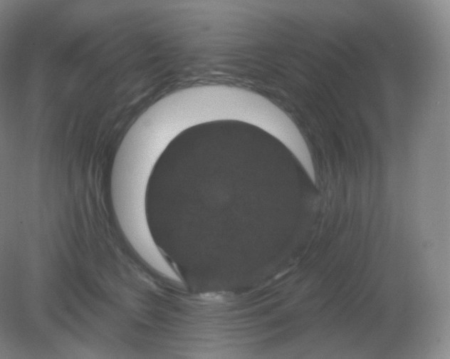 X0000082180566200702021755
