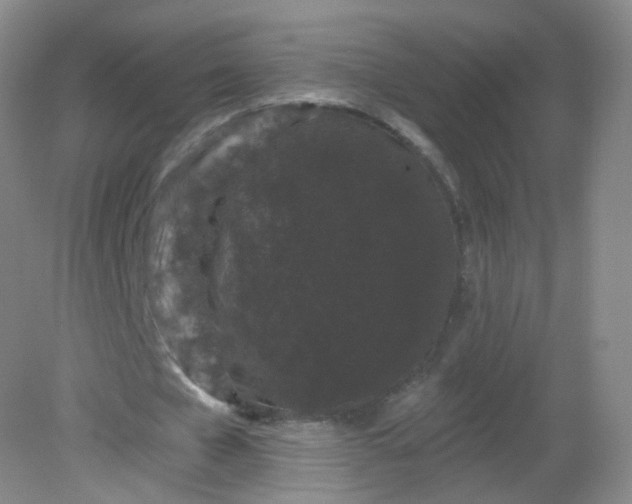X0000082180577200702021755