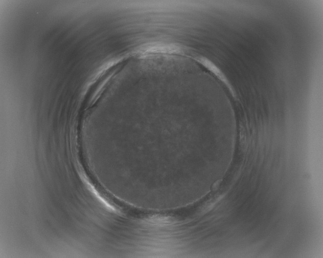 X0000082180581200702021755