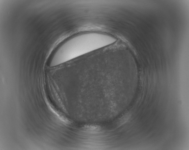X0000082180582200702021755