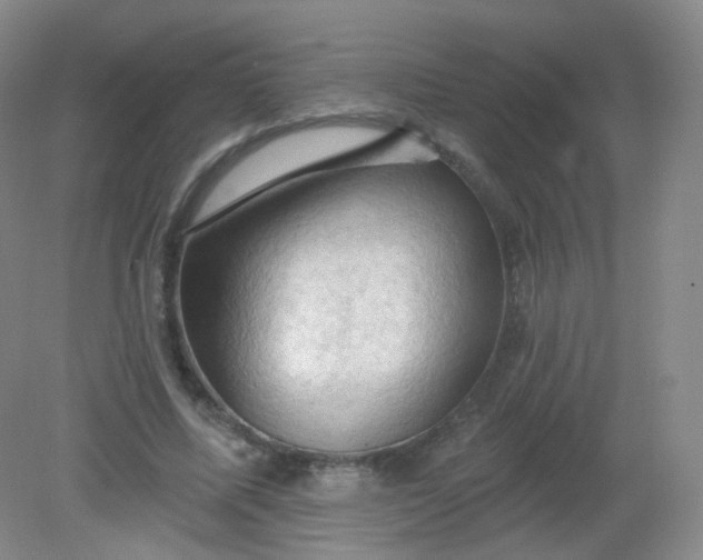 X0000082180587200702021754